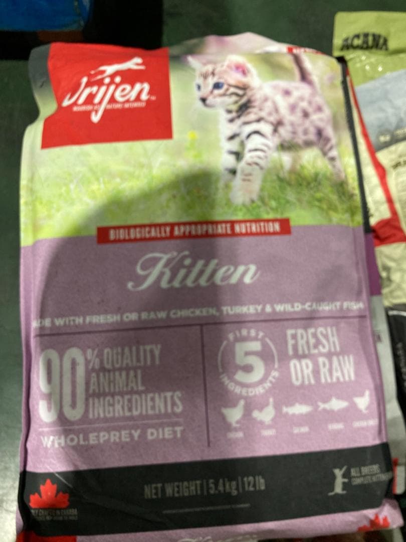 正規品 カナダ産 オリジン キトゥン キャットフード 5.4kg まとめ買い可