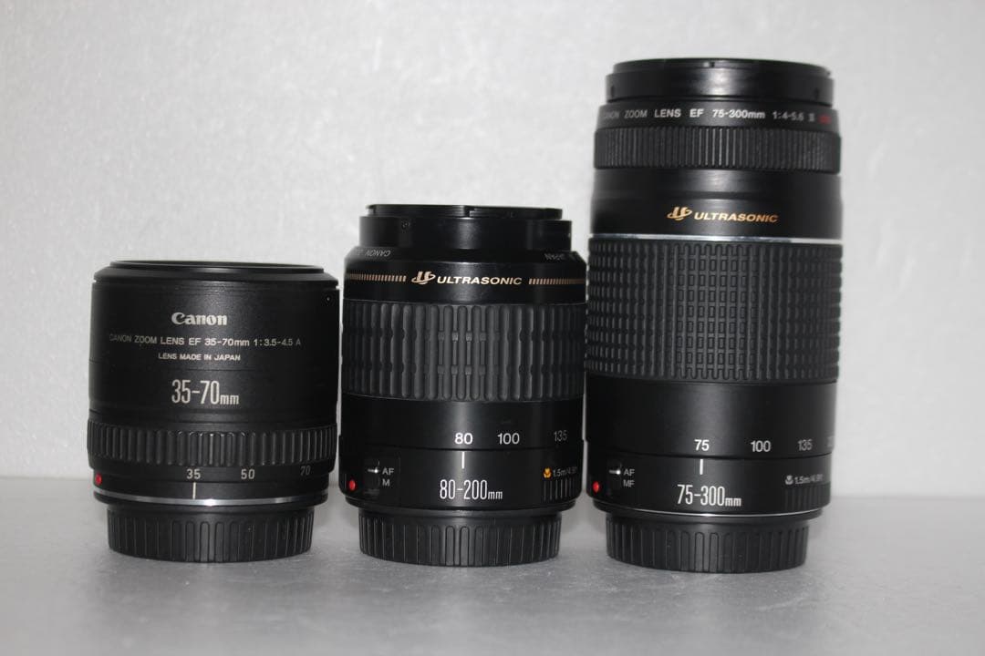 一眼レフカメラCanon EOS 80D標準&望遠&単焦点トリプルレンズセット