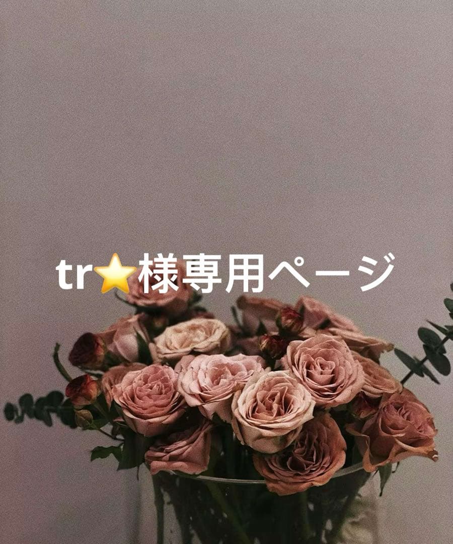tr⭐️ページ
