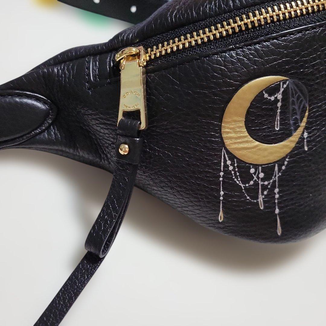 COACH　皮革ウエストポーチ、ボディバック刺繍デザイン【極美品】