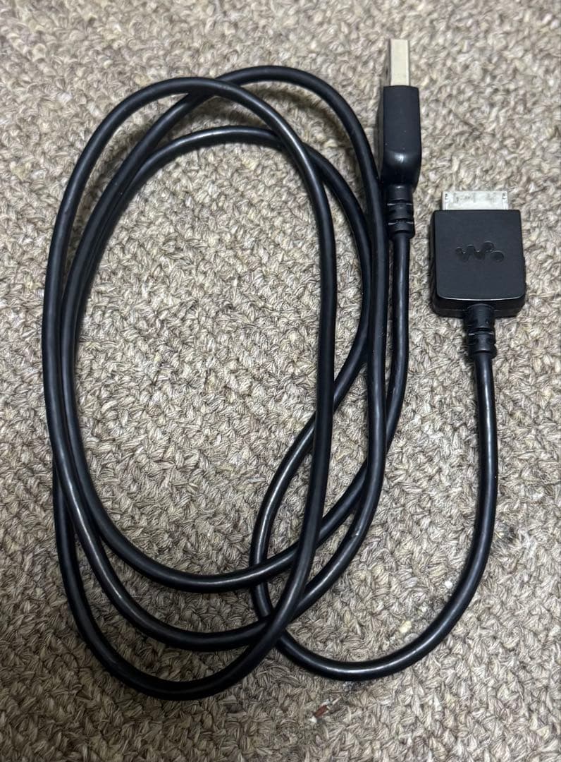 SONY NW-WM1A デジタルオーディオプレーヤー