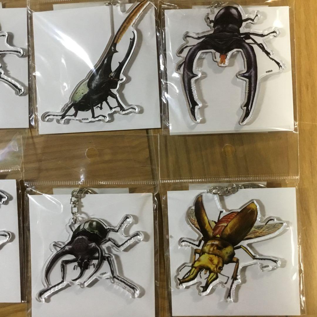 ムシキング20周年ポップアップ限定アクリルキーホルダー8種セット