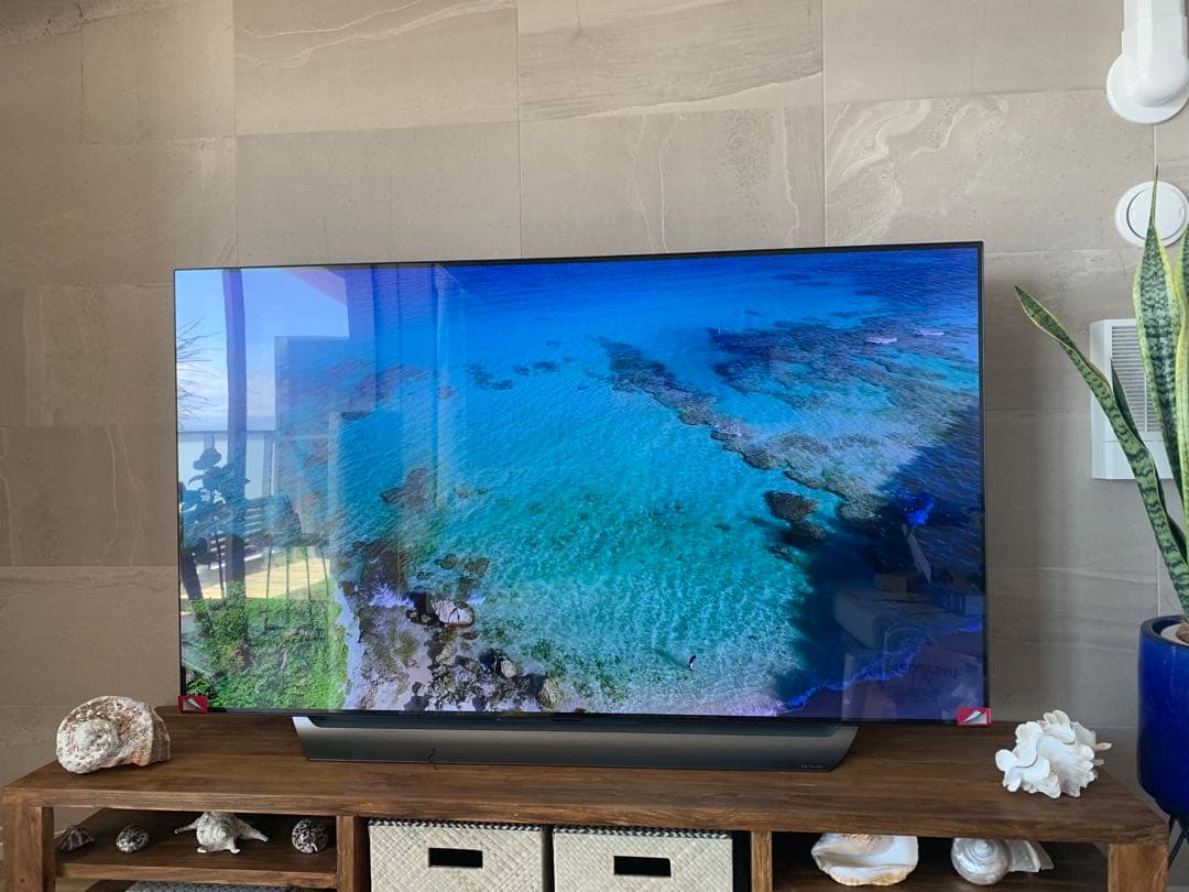 有機EL65インチ　LG OLED TV 本体 リモコン・取扱説明書付き