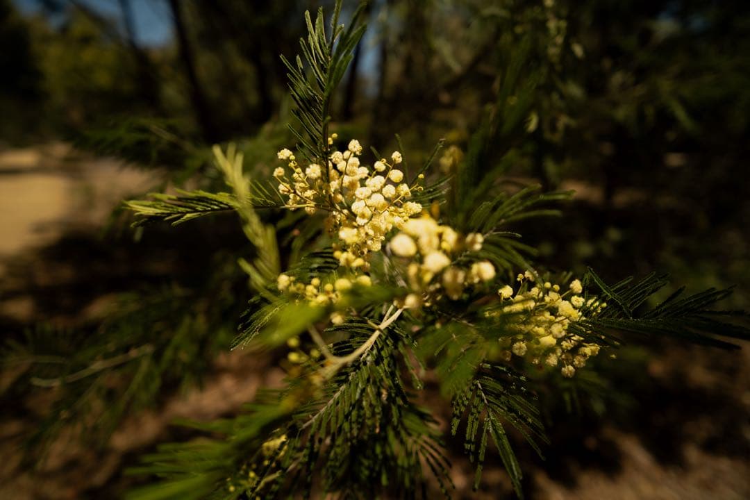 VILTROX AF 13mm F1.4 XF レンズ