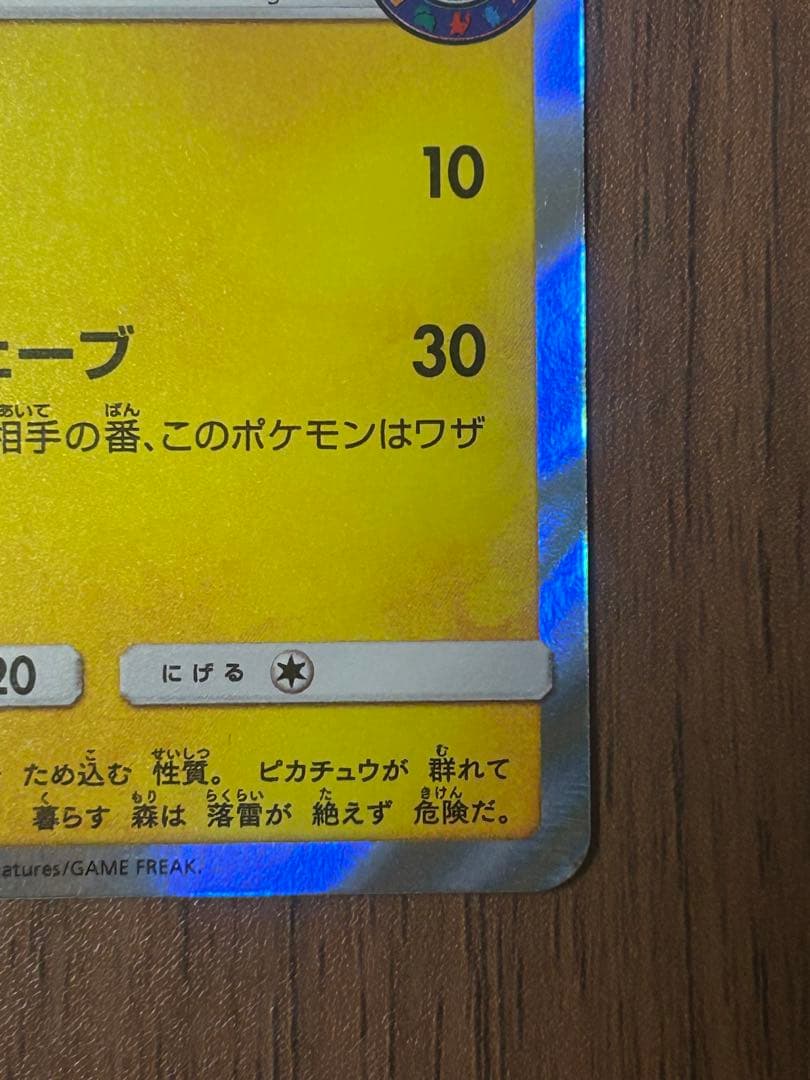 海で遊ぶピカチュウ