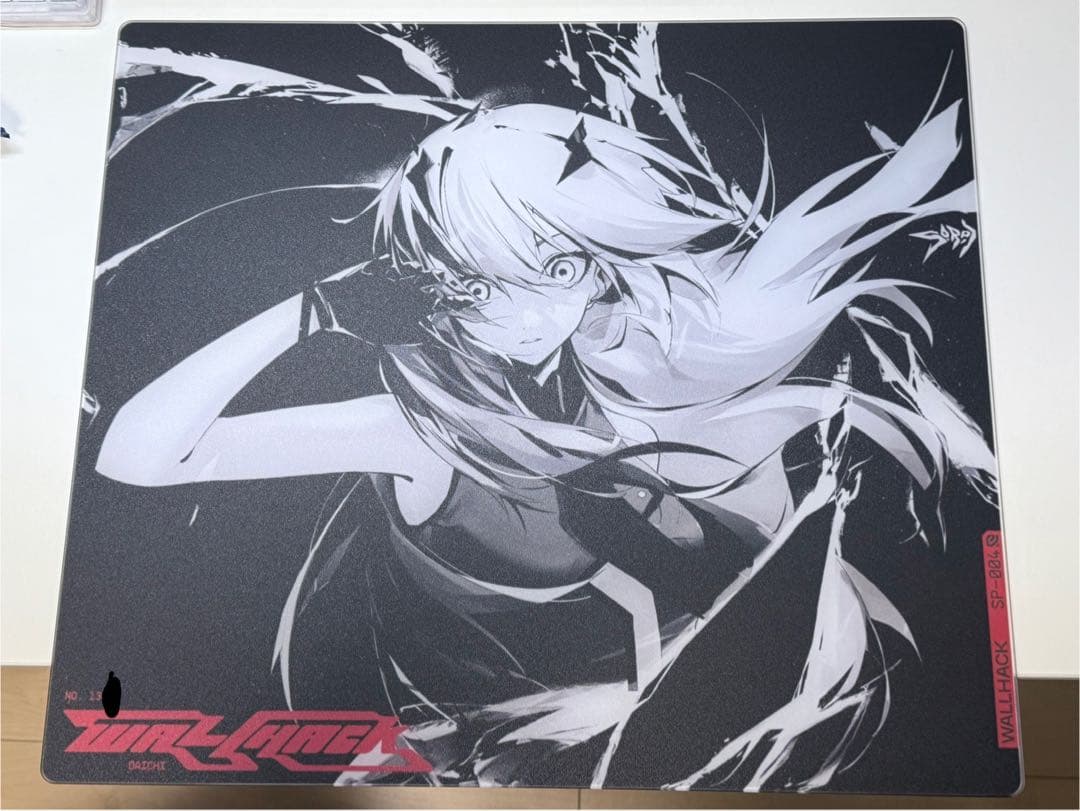 Wallhack SP-004 Frenzy Sora 値下げ不可