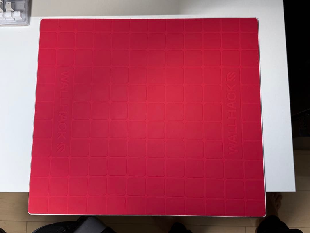 Wallhack SP-004 Frenzy Sora 値下げ不可