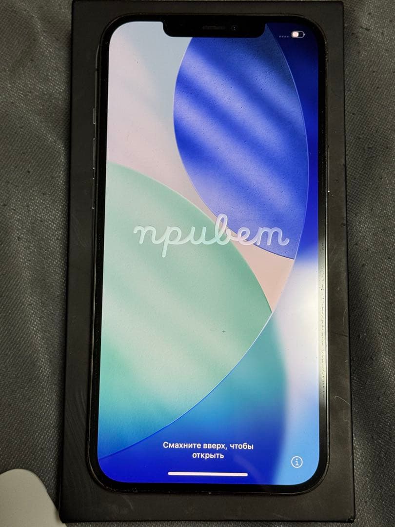 iPhone 12 Pro Max 128 GB グラファイト