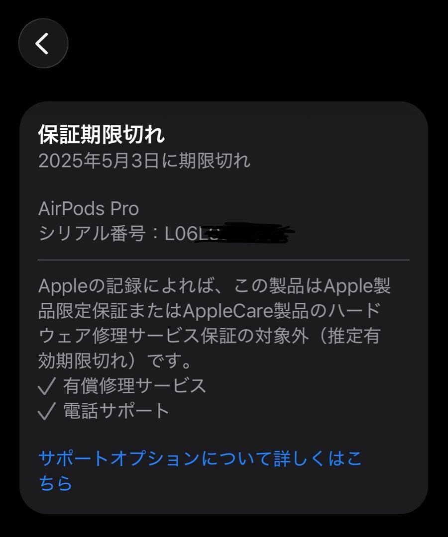 Apple AirPods Pro 2 USB C本体 充電ケース付き