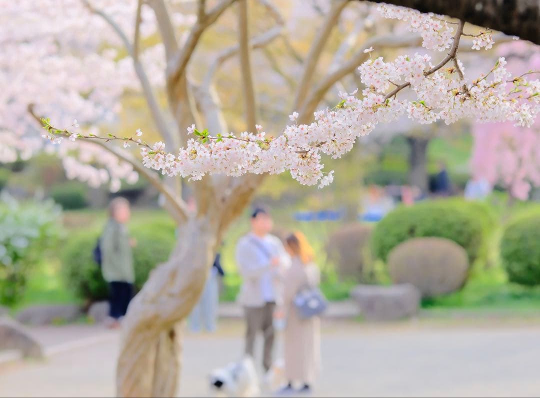 VILTROX XF75mmF1.2 Pro 富士