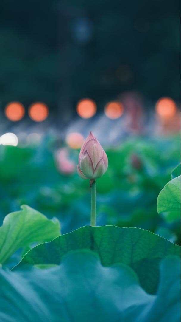 VILTROX XF75mmF1.2 Pro 富士