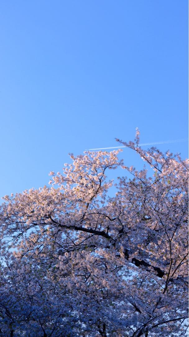 VILTROX XF75mmF1.2 Pro 富士