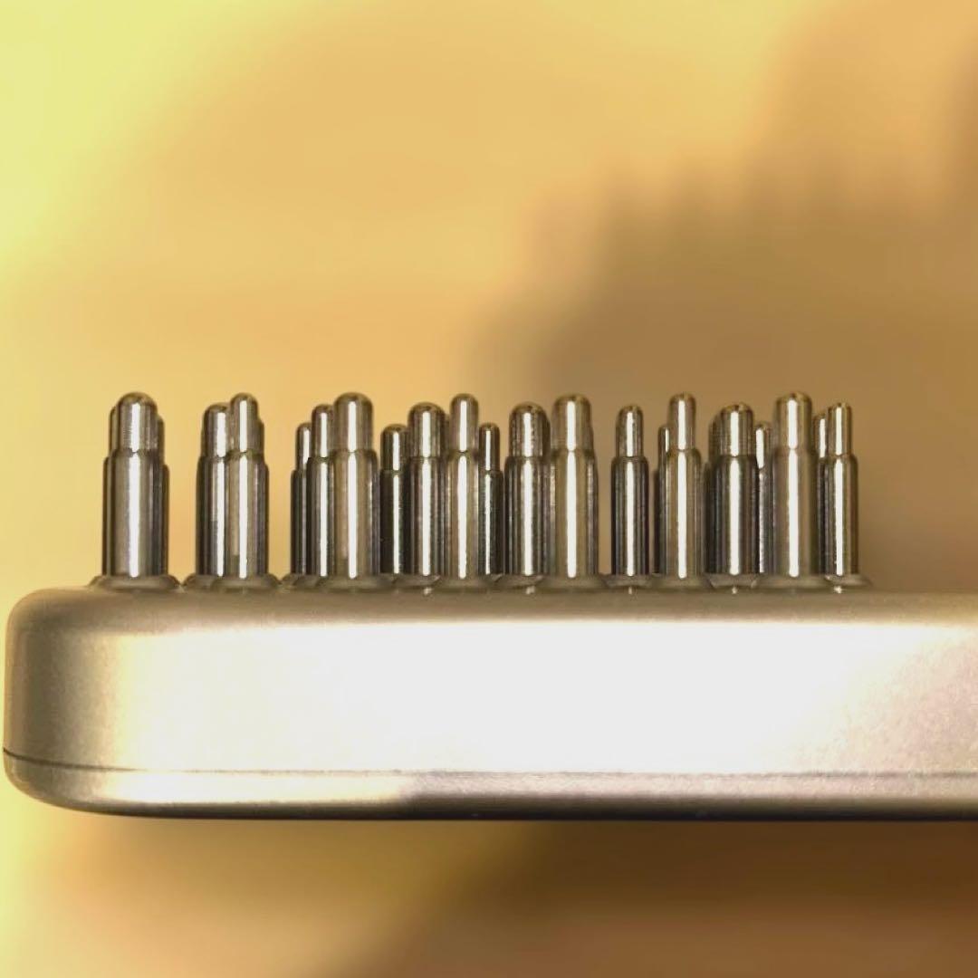 SALONIA 美顔器　 EMS LIFT ブラシ　シルバー 電気ブラシ