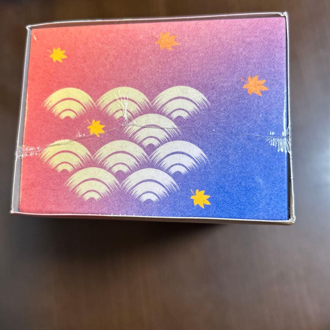 ポケモンカードゲーム スペシャルBOXヒロシマ