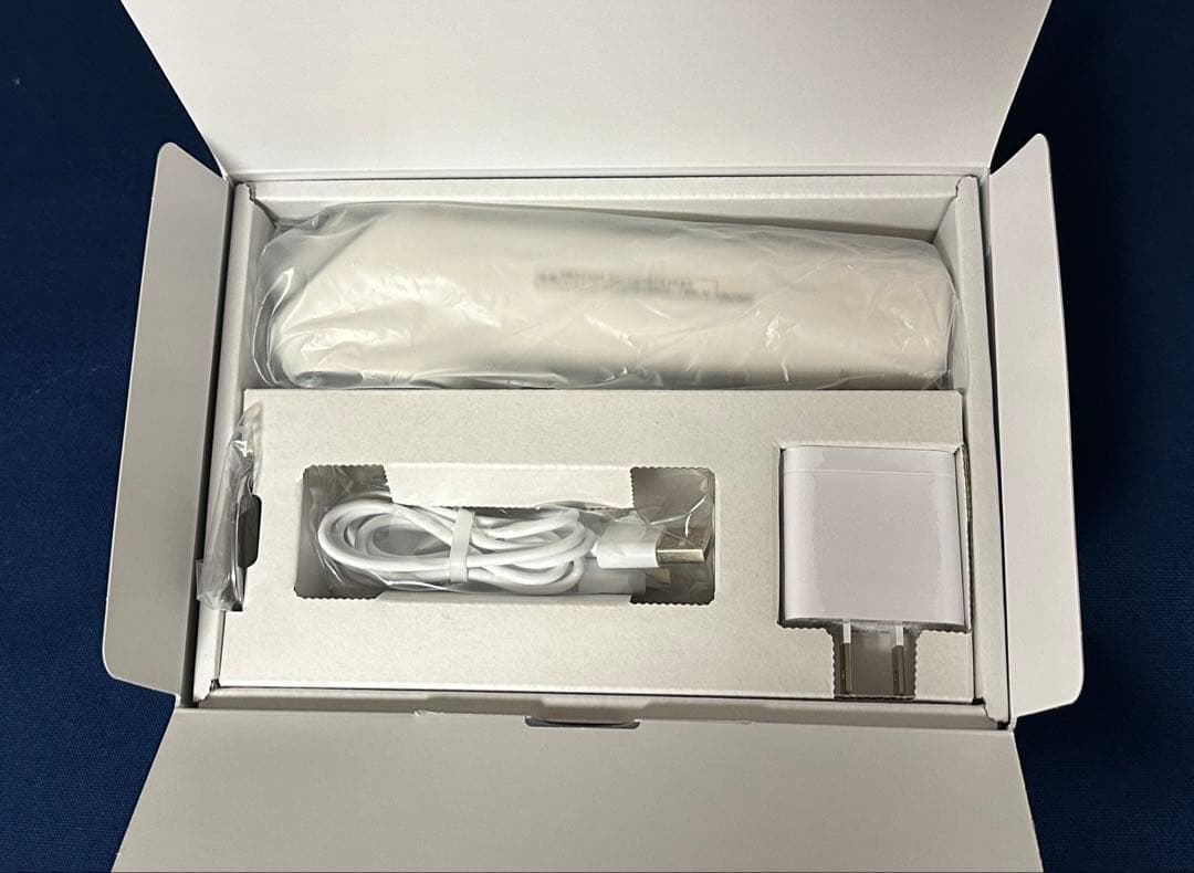 パナソニック イオン美顔器 イオンブースト マルチ EX