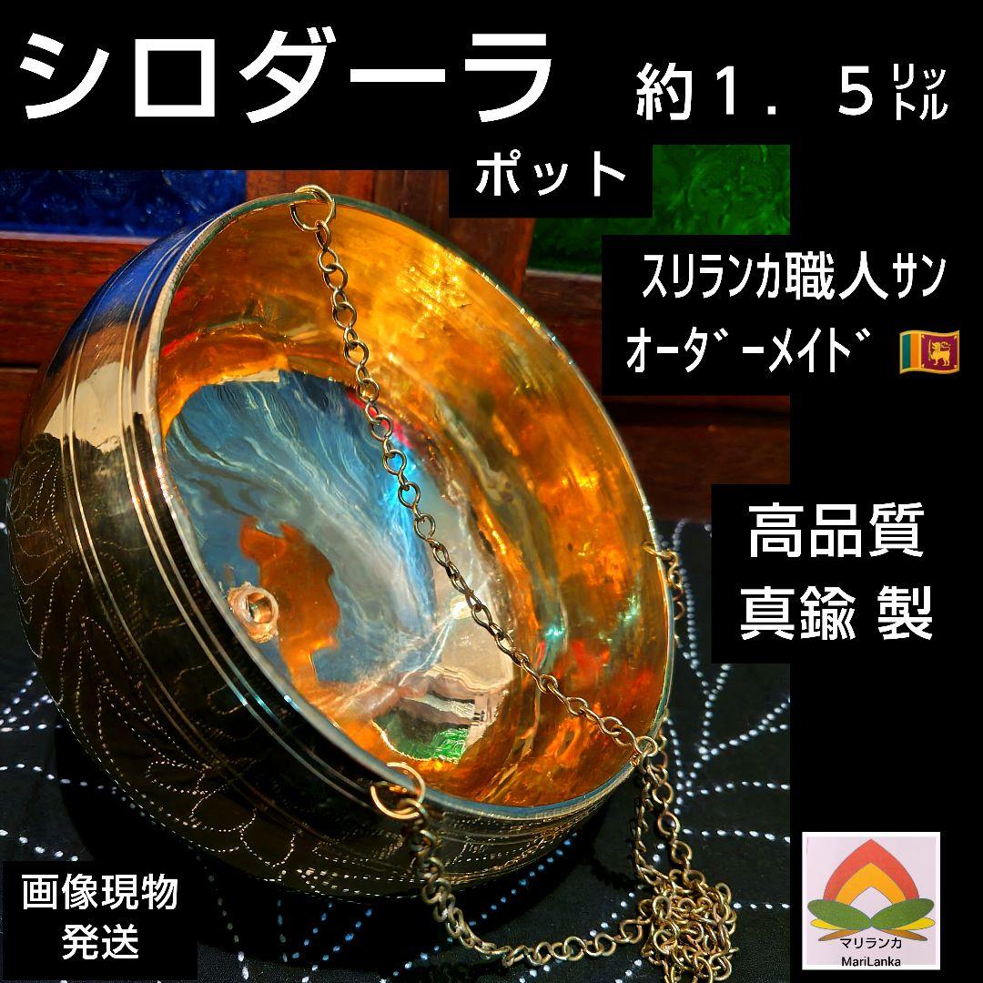 ２５♦S様フォロー割お値段です♦シロダーラ ポット 約１．５㍑ ♦