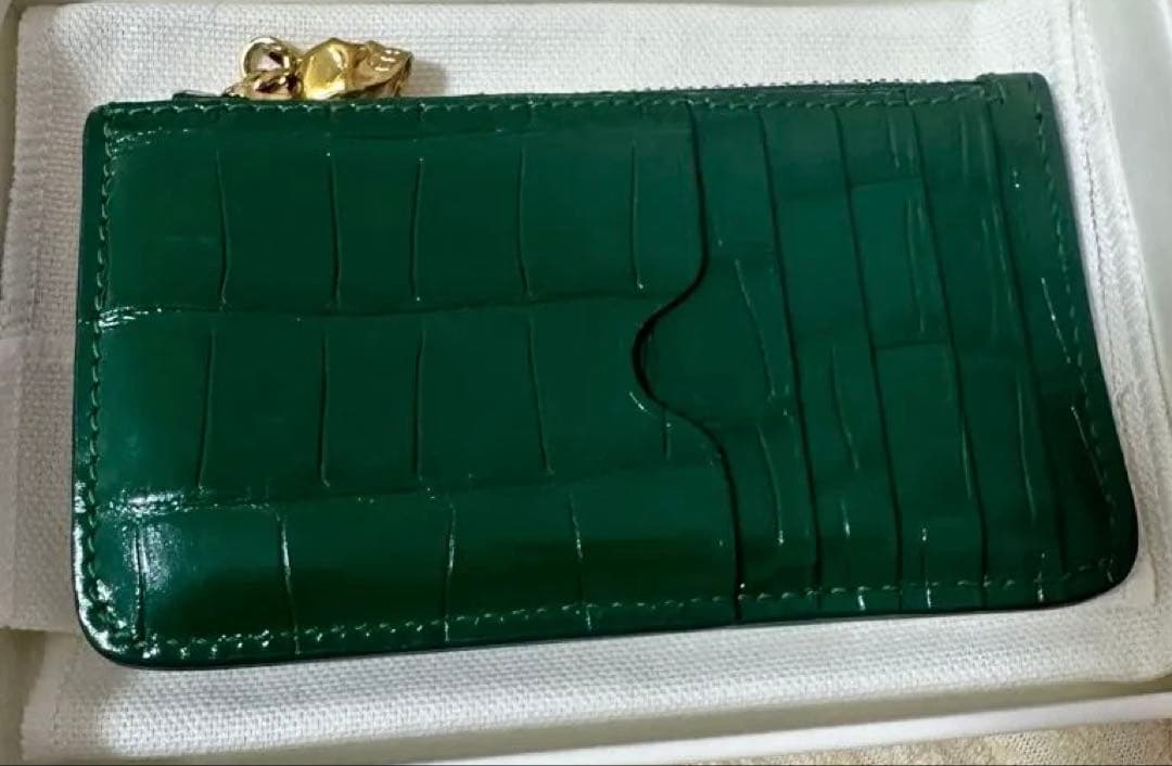 アレクサンダーマックイーン　ケース