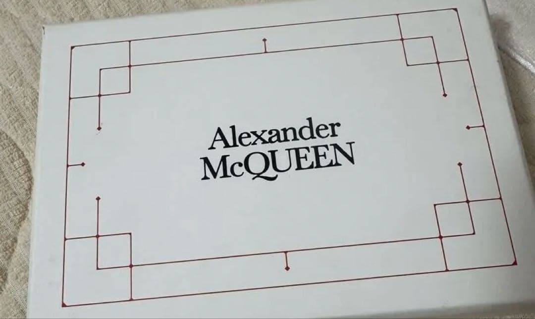 アレクサンダーマックイーン　ケース