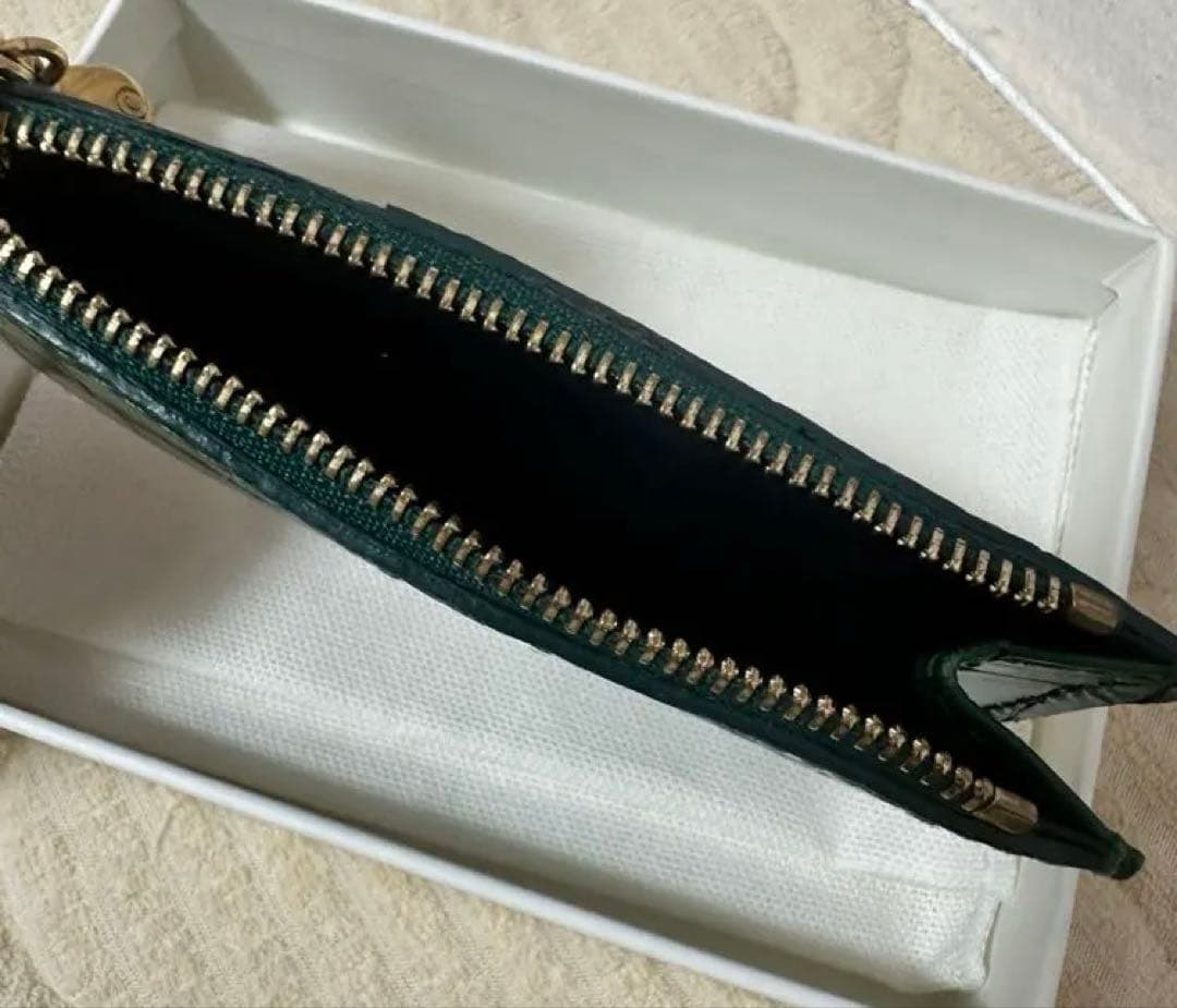 アレクサンダーマックイーン　ケース