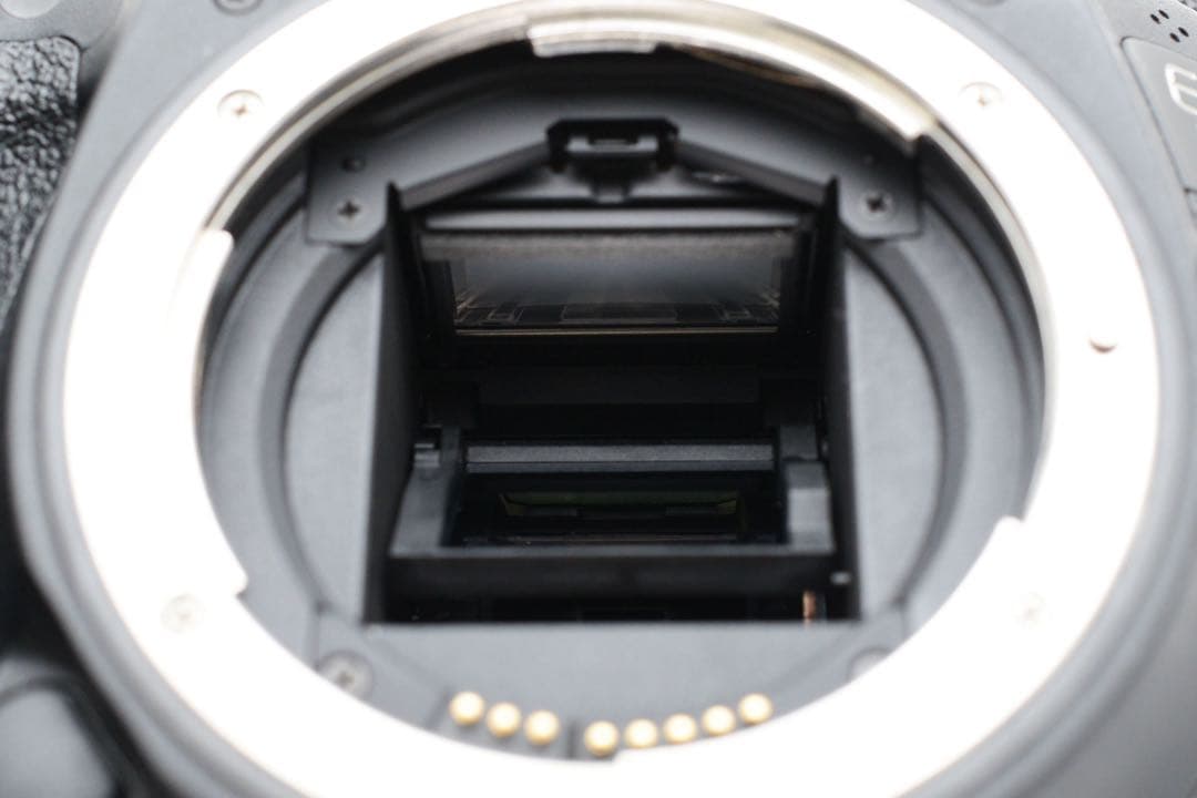 Canon EOS 7D MarkII標準&望遠ダブルレンズセット