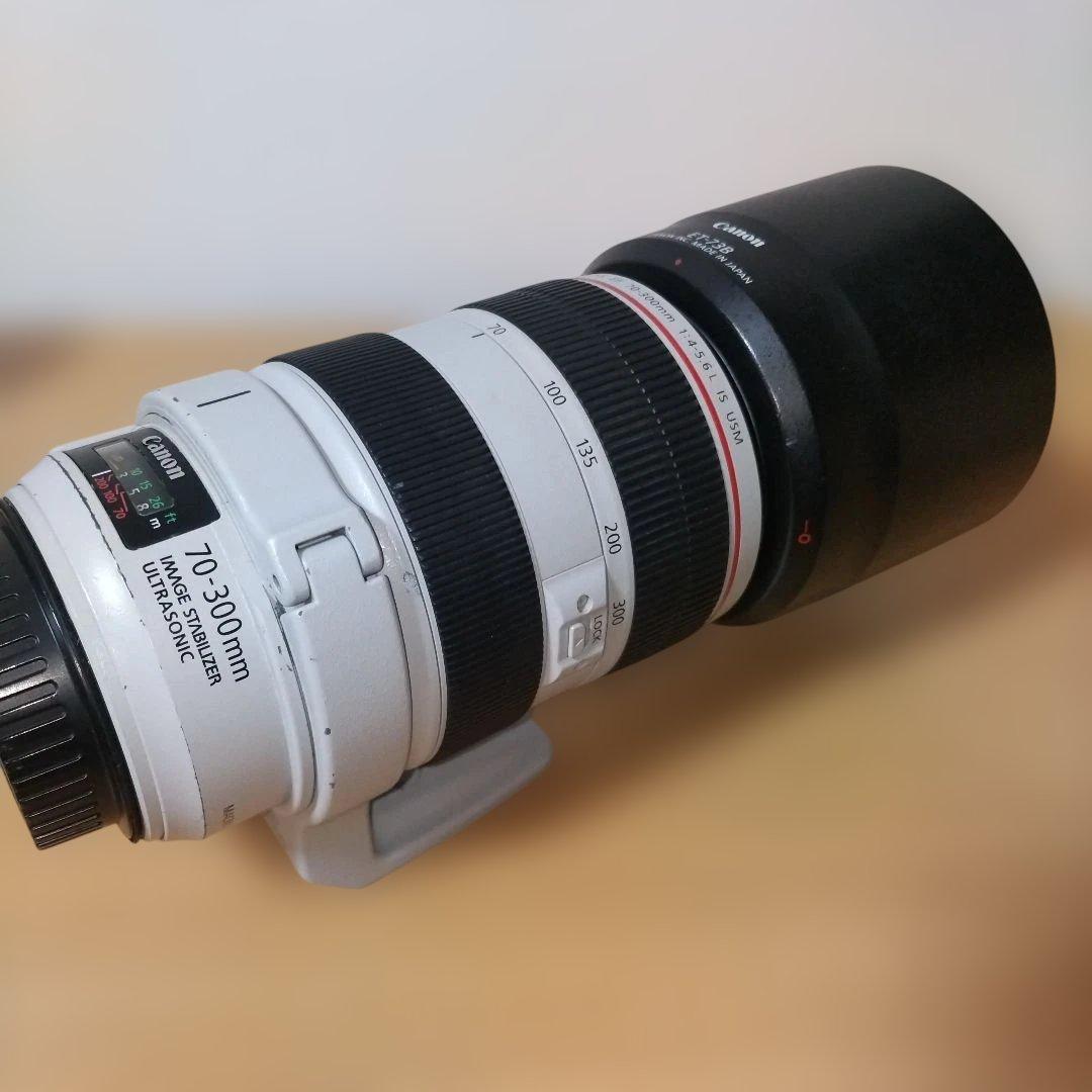 Canon EF 70-300mm F4.5-5.6L IS USM　白レンズ