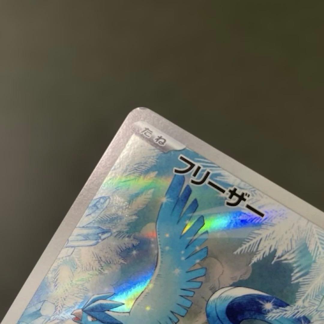 フリーザー ポッチャマ テールナー モココ ラッキー ニドキング AR CHR