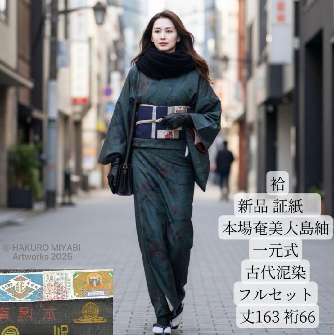 新品 美品　証紙　本場奄美大島紬　一元式古代泥染　フルセット　163/66