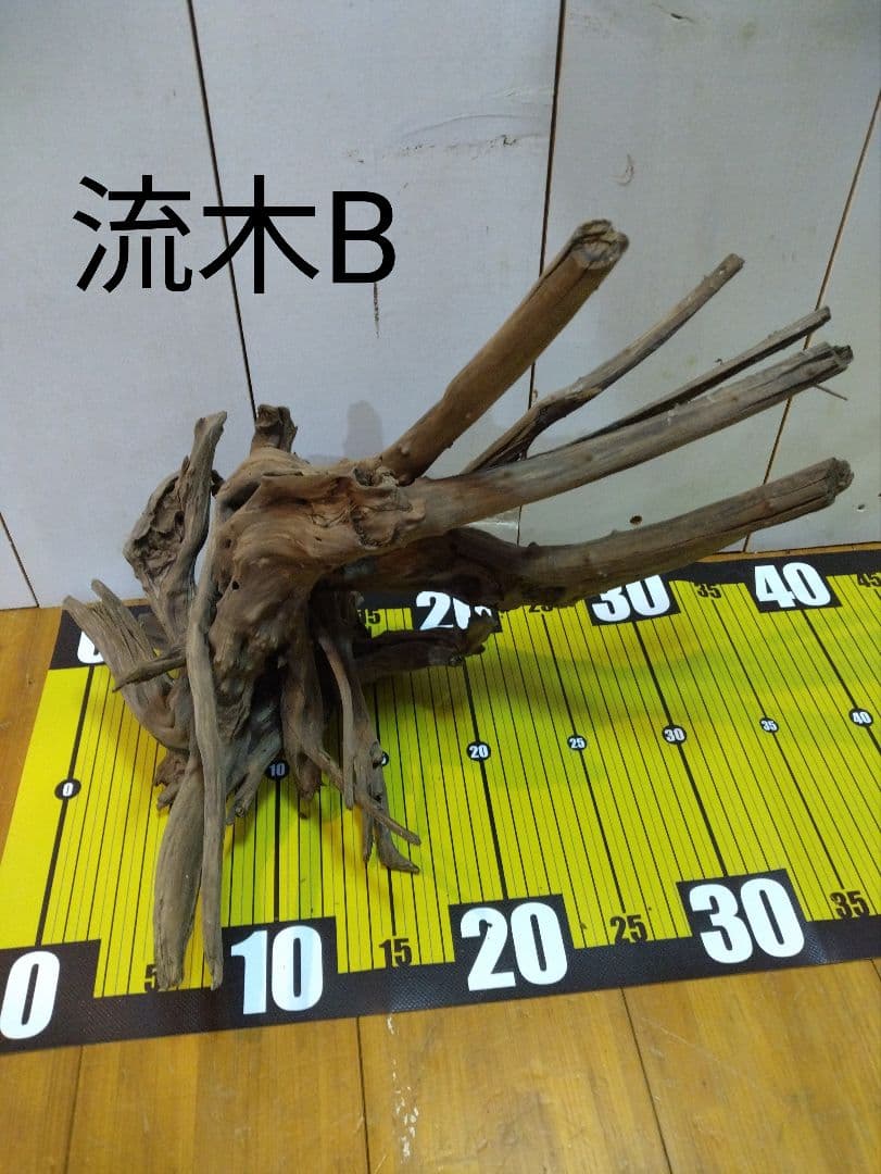 【送料無料、早い者勝ち】良型流木4点セット