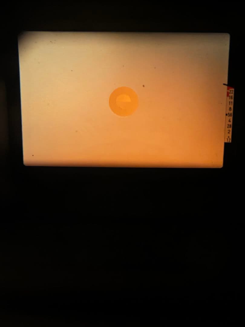 Canon AE-1、AE-1 PROGRAM 50mm f1.4 S.S.C