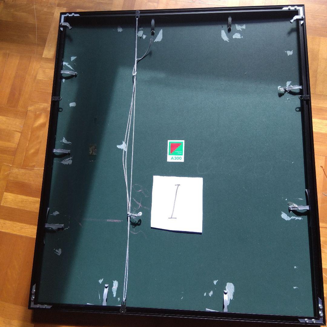 FUJIFILM写真展示用フレーム 全紙２ 　全紙3枚組２　 半切２　4切