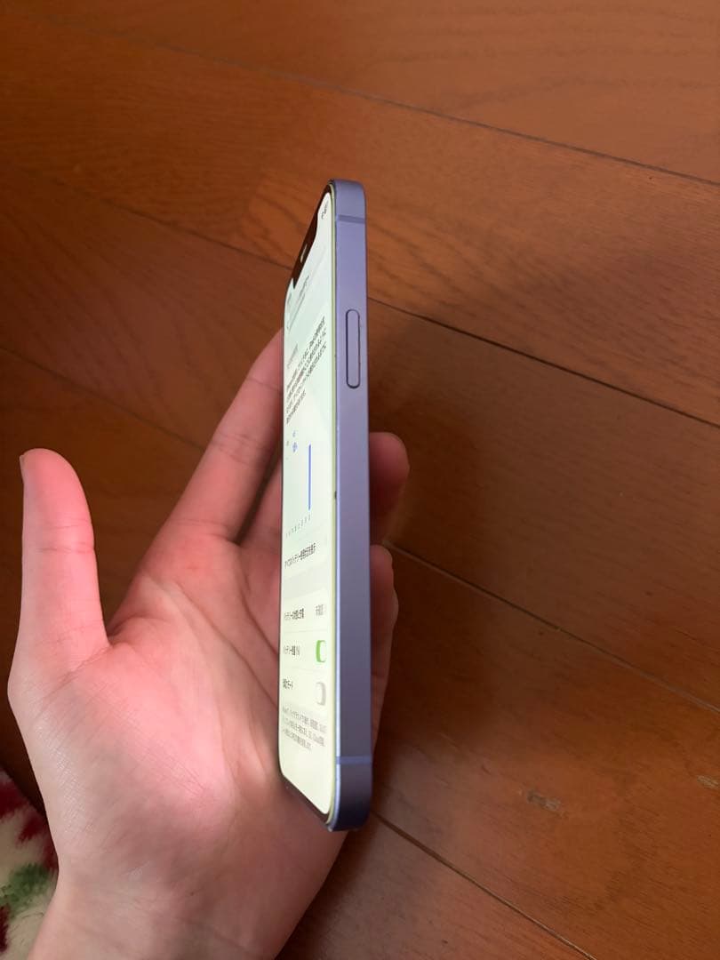 Apple iPhone 12 充電コード、ケース、フィルム付