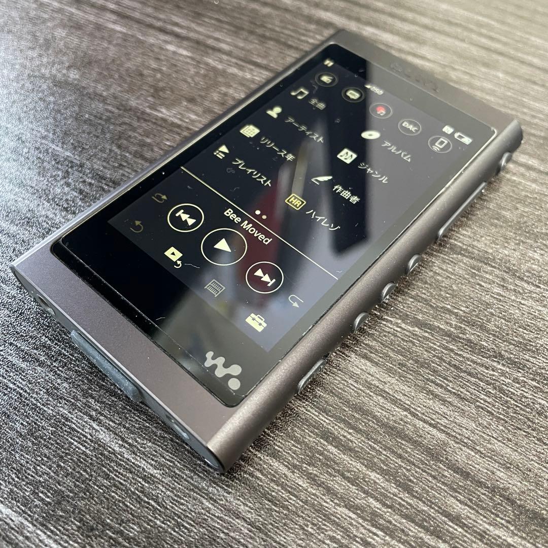SONY NW-A55 デジタルオーディオプレーヤー