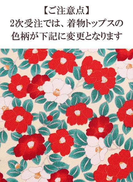 お値引き中　Myoudoll 文学少女 Delia 1/4 SDMサイズ