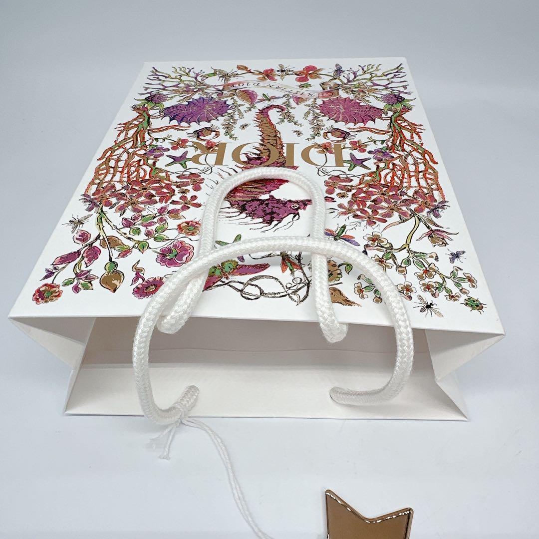 Dior iPhoneケース (iphone15対応)