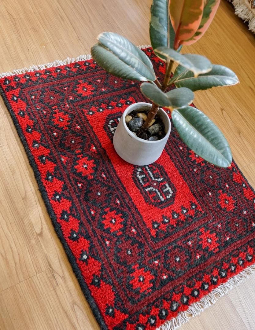 Chocotoypuトルクメン 手織り絨毯 トライバルラグ