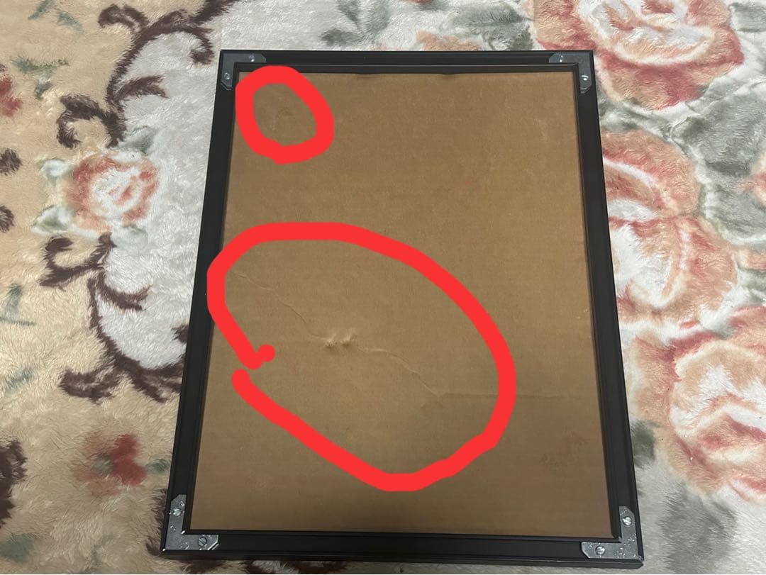 トム・クルーズ /直筆サイン/認証証明書/トップガン/TOPGUN