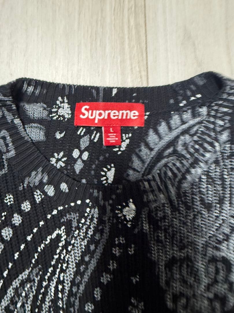 美品 着用回数2回 24ss Printed Paisley Sweater