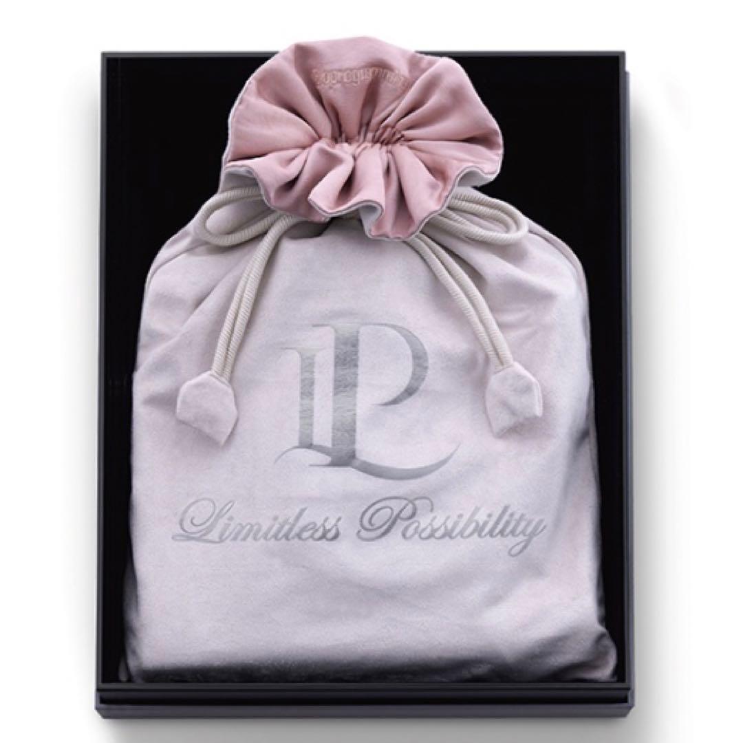 レプロナイザー 107D Plus ドライヤー