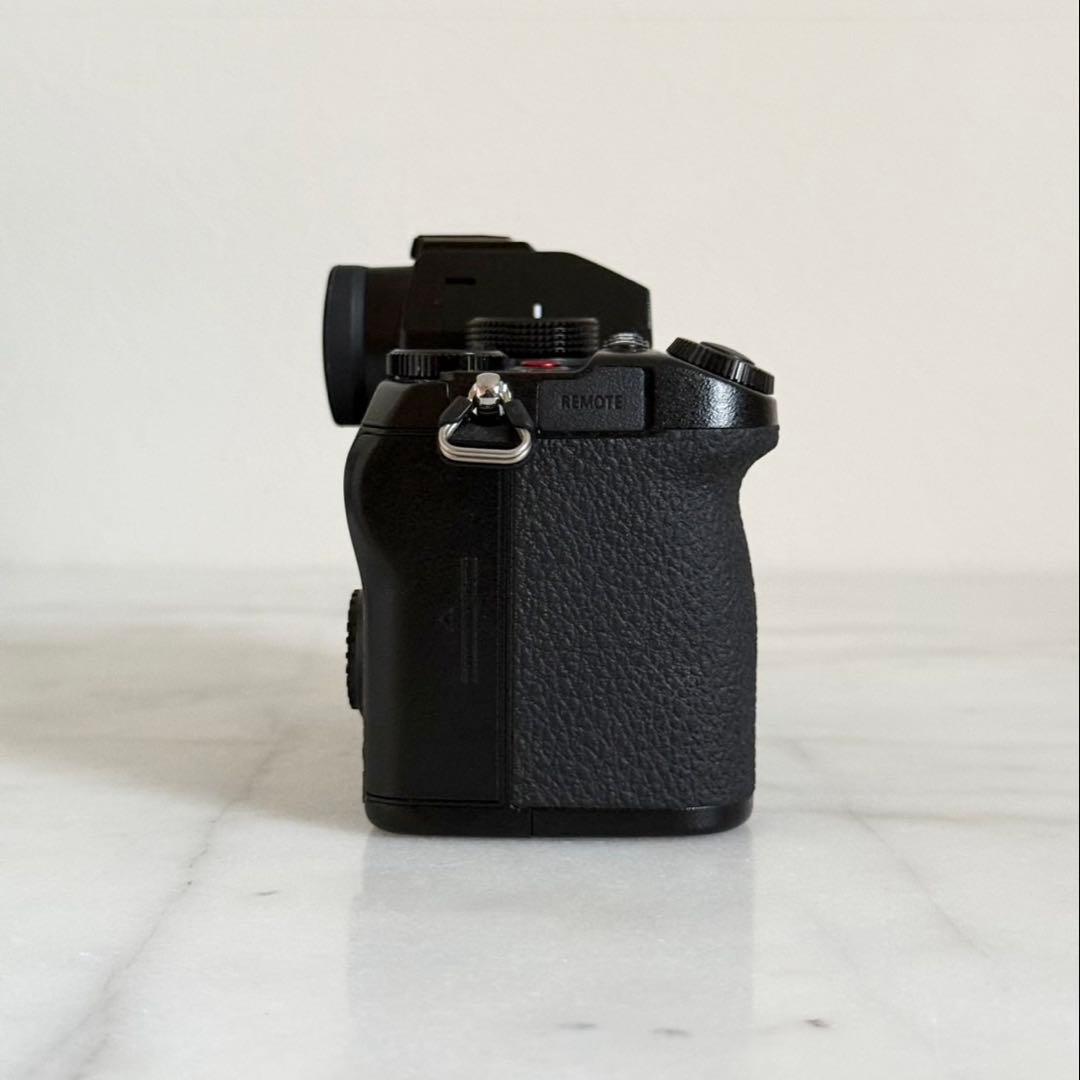 Panasonic LUMIX S5 ボディ フルサイズミラーレス 付属品完備