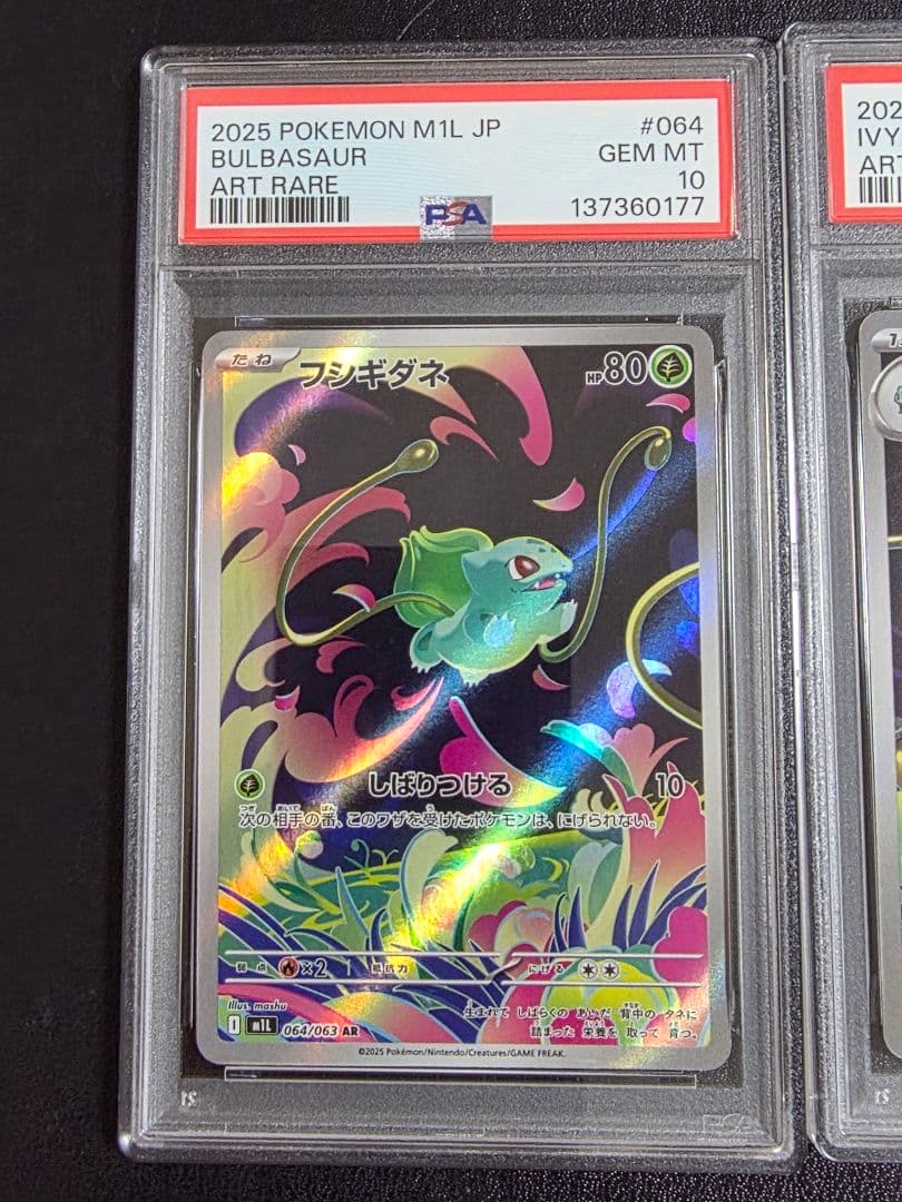 【PSA10連番】メガフシギバナex_SAR 進化ライン