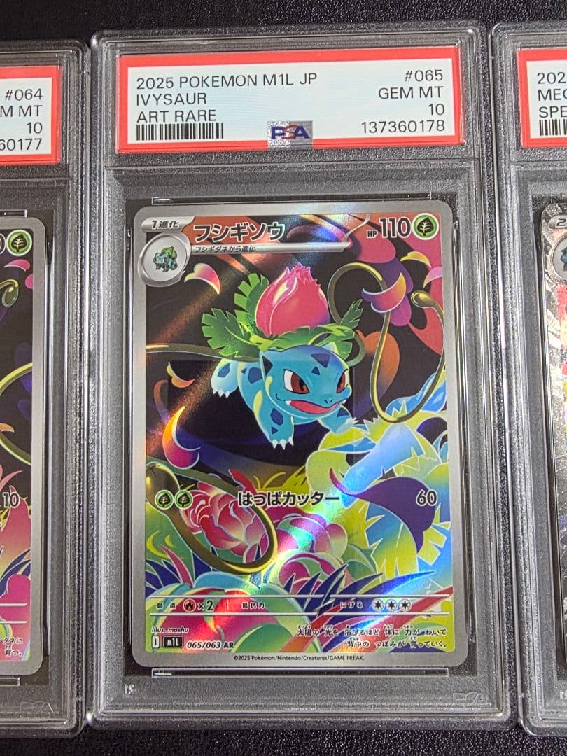 【PSA10連番】メガフシギバナex_SAR 進化ライン