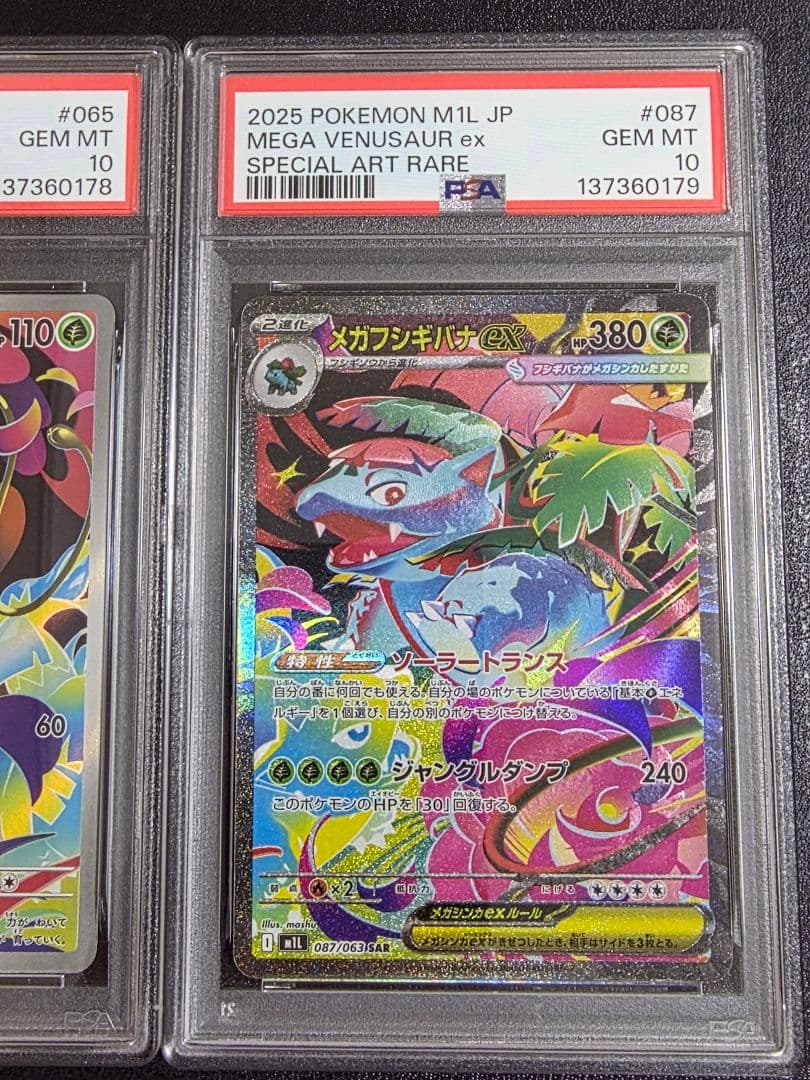 【PSA10連番】メガフシギバナex_SAR 進化ライン