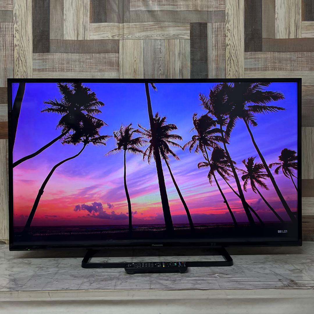 即日受渡❣️全国送料込パナソニック49V型地上デジタルBSCSテレビWチューナー
