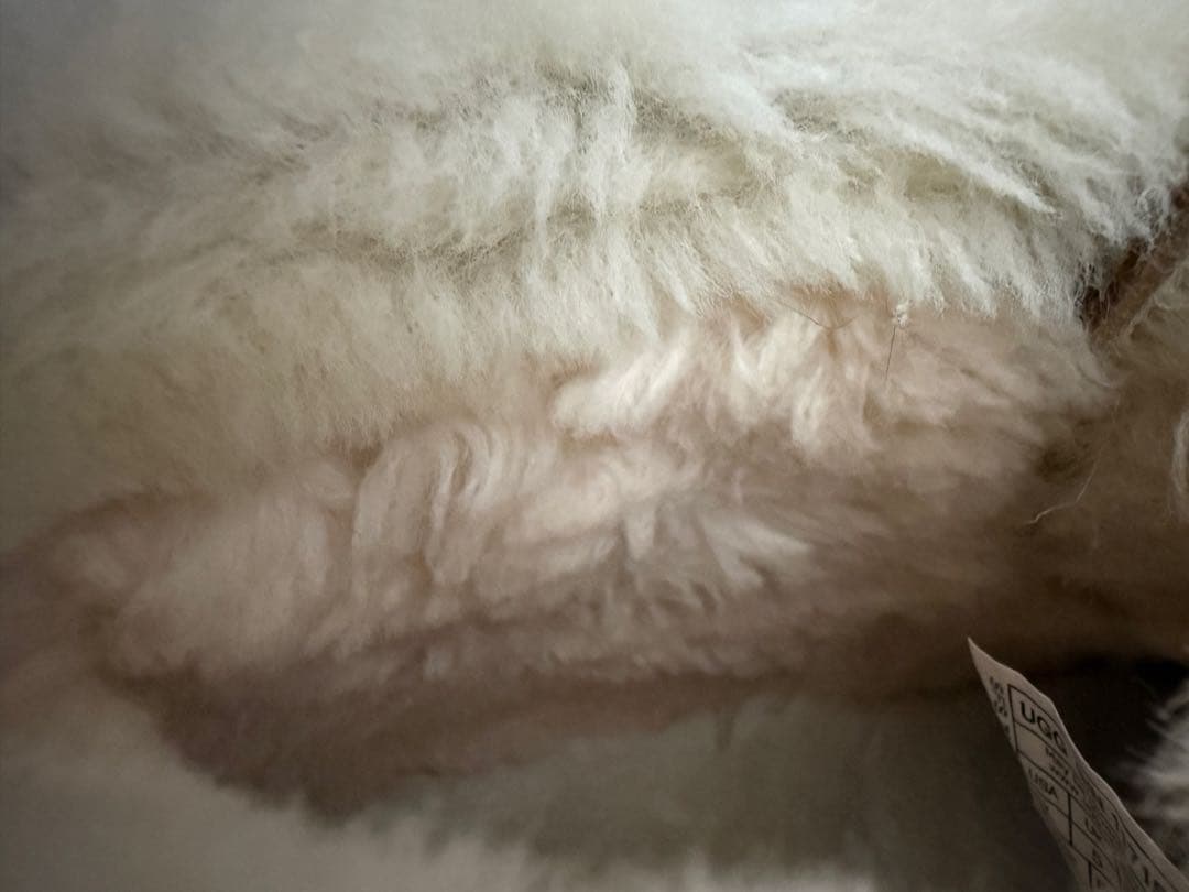 UGGエスミーレースアップ Esmee Lace Up 24cm