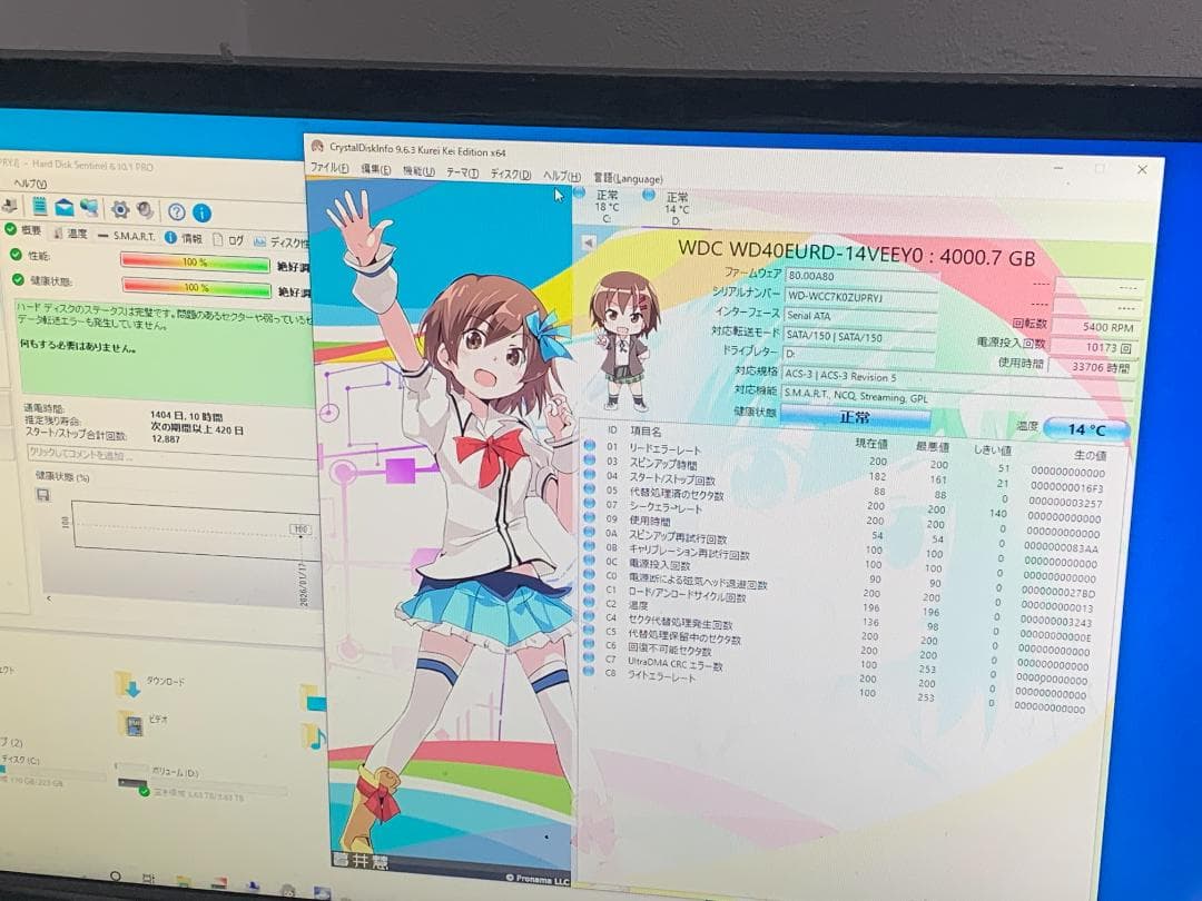 内蔵型ハードディスクドライブ M9835 Western Digital WD40EURD 4TB 3.5