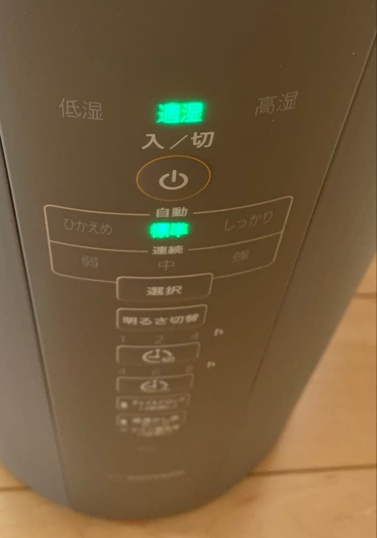 スチーム加湿器 EE-DC50 グレー