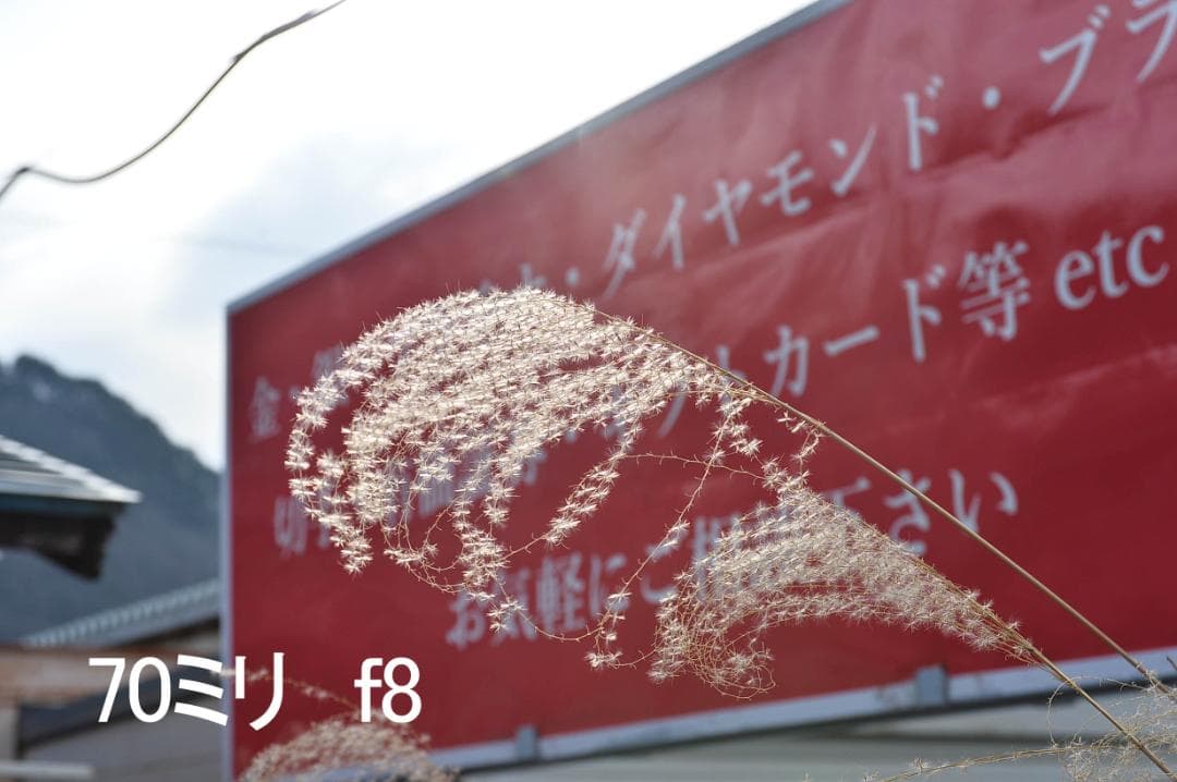 ニコン Nikon AF NIKKOR 28-105mm F3.5-4.5 D