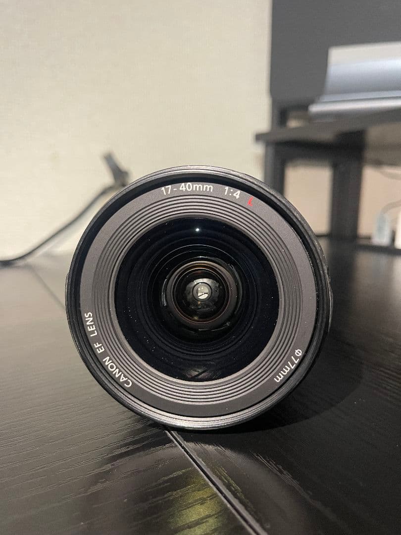Canon キャノン EF 17-40mm F4L USM フード付き