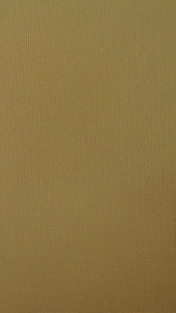 CONTAX TVS Digital チタン Zeiss T＊ 美品