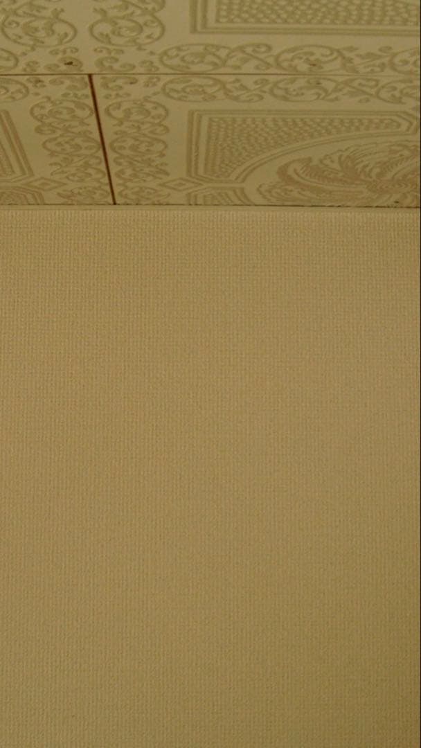 CONTAX TVS Digital チタン Zeiss T＊ 美品